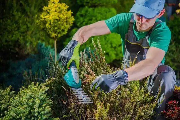 landscaping services Weymouth